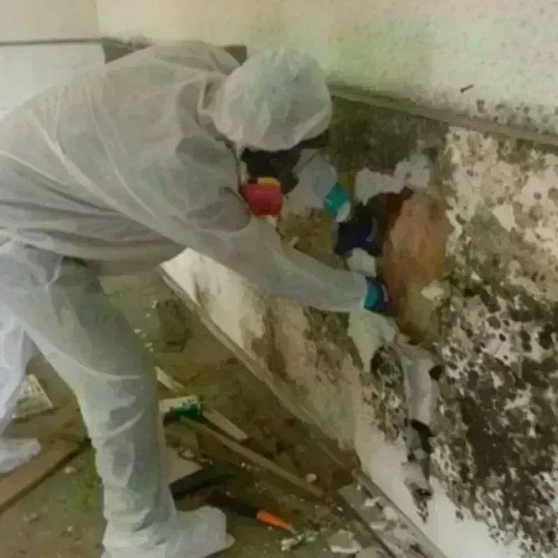 Mold Remediation and Removal in Northville, NY