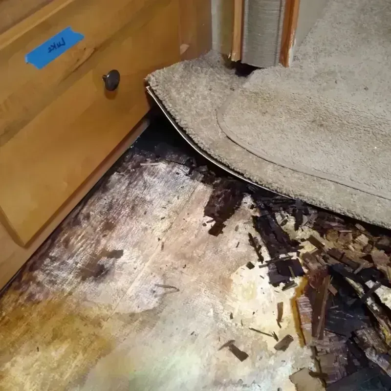 Wood Floor Water Damage in Northville, NY